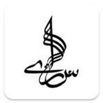 saarey music android application logo